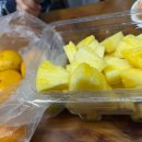 청벽거북 이미지