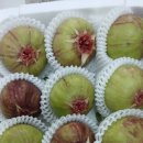 덕곡주유소 이미지