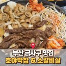 개좌로 | 부산 막창 맛집｜잡내 없이 깔끔한 금사동 호야막창&amp;소갈비살 솔직 후기