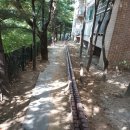 인도변 화단 이미지