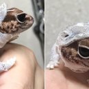 싱글벙글사 이미지