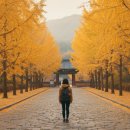 춘마곡점 | 공주 갑사, 오리숲길 단풍터널에 매료된 후기 (춘마곡 추갑사)