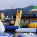 자라섬게스트하우스