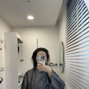 영양쎈타 분당점 | 야탑 두피관리 엠지에프 두피탈모 전문센터 분당점 솔직 후기