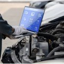 킴스카센타 이미지