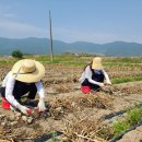 합천군 초계면사무소 창원일보