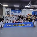 한솔 세계로 태권도 이미지