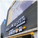 캣 | 청주 고양이카페 쵸이캣 재방문 후기