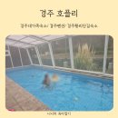 호플리 | 경주 황리단길숙소 대가족 독채풀빌라 호플리 내돈내산 후기