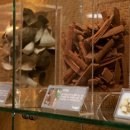 토성한의원 이미지