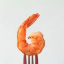 운동하는사람들 이미지