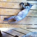 외양농장 이미지