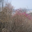 남문5길 이미지