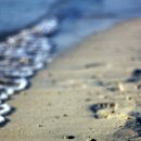 바다여행 이미지