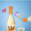🍶 [건강 약주 추천] 상황버섯 균사체로 만든 '천년약속' 솔직후기
