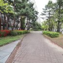 한마을공인중개사사무소 이미지