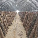 다올농장 이미지