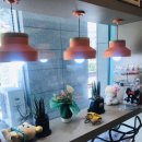 텐즈힐 애견미용 이미지