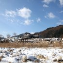 구곡농장 Daum카페