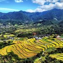 사포마을 이미지