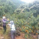 상아농장 이미지