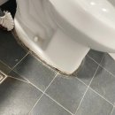 봄향기 | 서울대 서울 전 지역 입주청소 이사청소 건물관리 계단청소 전문업체 주다클린!! 봄의향기 복층 후기!!