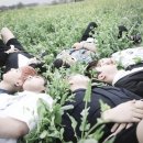 [방탄소년단]화양연화 Part2를 기다리며 Part1 앨범中 랭보시모음 이미지