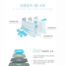 엘케이키친 | [구멍 많은 워킹맘 님]착용감이 좋은 프리미엄 덴탈 마스크, 미세잎 마스크로 건강을 지키세요~