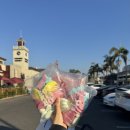 비버마켓 이미지