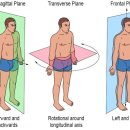 근모닝PT 이미지