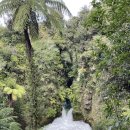 3073 | 【뉴질랜드 워킹홀리데이】 지극히 주관적인 후기 <Rotorua>