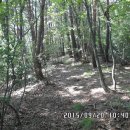 찬물내기 이미지