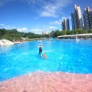 도그베이 이미지