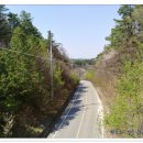 금남면사무소 이미지