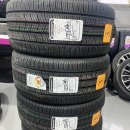 프로카센타 이미지