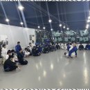 블랙벨트 GYM | 키즈주짓수 차정환GYM에서 체험한 다채로운 운동세계