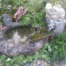 외동마님 이미지