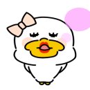 프리티파우 이미지