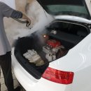 명품손세차 이미지