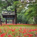 보석사로 이미지