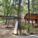 유아숲체험원(2) 이미지