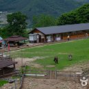 초원목장1 이미지