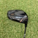 새생활슈퍼 | 목포 골프샵 피알지알 슈퍼에그 고반발 비거리 드라이버 교환 구매 후기