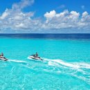 파라다이스 이미지