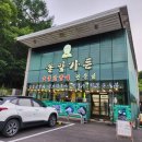 홍천 비발디파크 닭갈비 맛집 솔잎가든 간장 닭갈비 후기