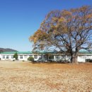 동량초 하천분교 | [정보] 충주시 초등학교 및 유치원 폐교 현황