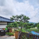 안대머리농가민박 이미지