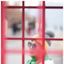 여행나무 티스토리
