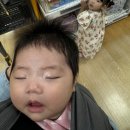 여:은