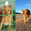 역전종합시장 이미지